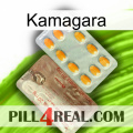 Kamagara new13